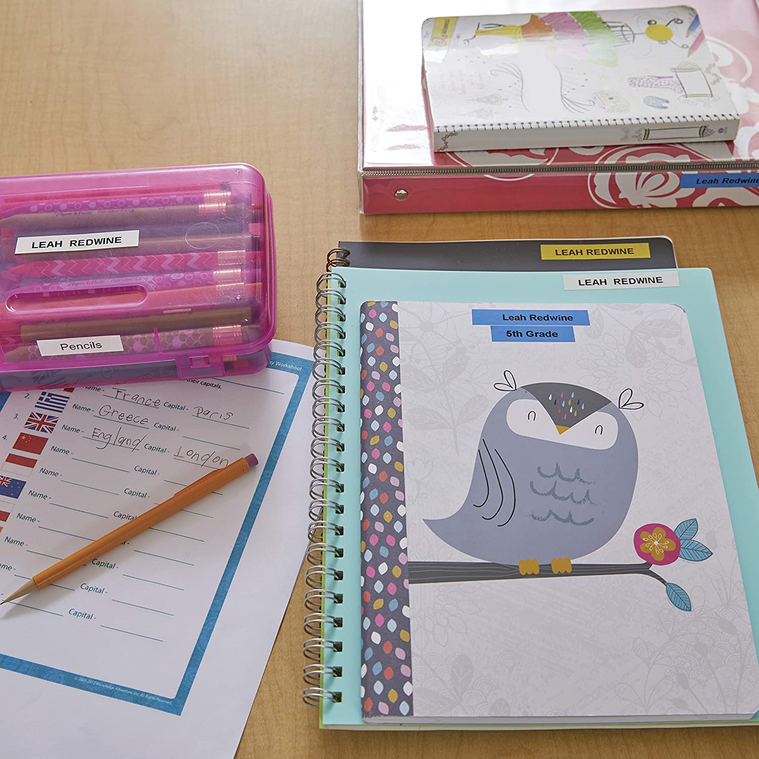 DYMO LetraTag LT-100H Label Maker-Blue Default Title