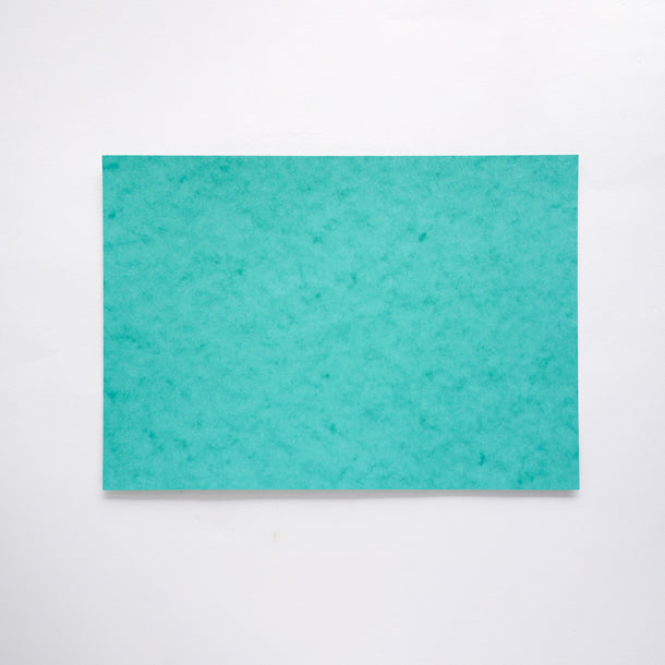 Mottle Skin Card 225g A4 1s DG2