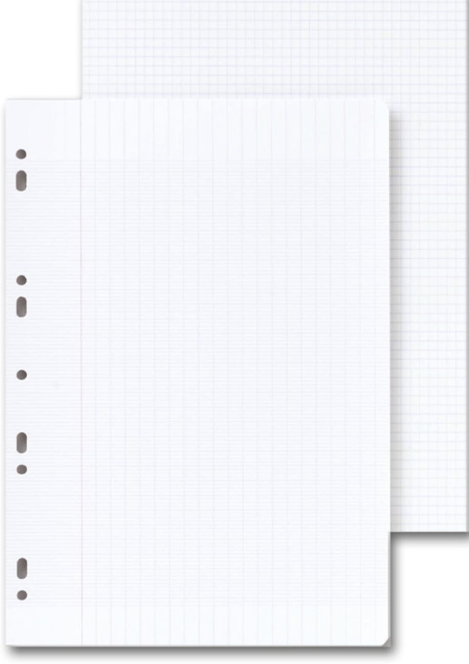 CLAIREFONTAINE Folder of 100 Single Sheets 21x29.7cm 5x5 Sq