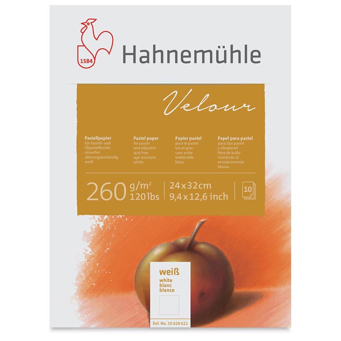 HAHNEMUHLE Velour Pad 260g 9.4x12.6in 10s