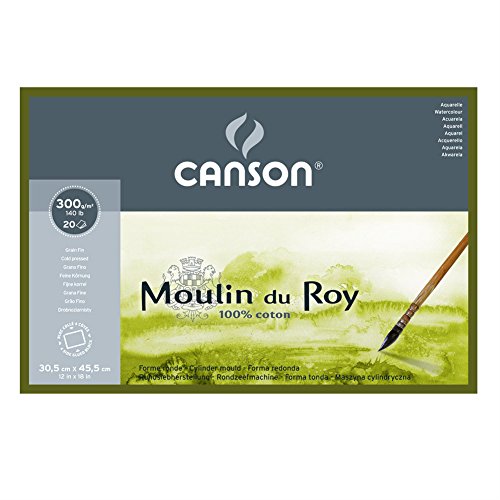 CANSON Moulin du Roy 300g 12x18in 20s COLD PRESSED
