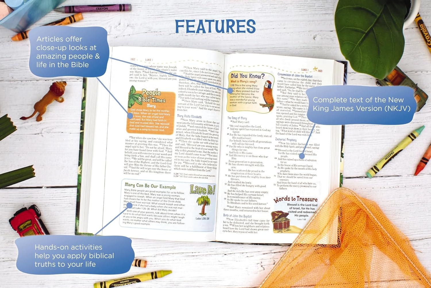 NKJV - Adventure Bible, Full Color, Hardcover