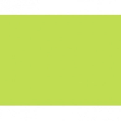 CARAN D'ACHE Supracolor 3888-221 Light Green Default Title