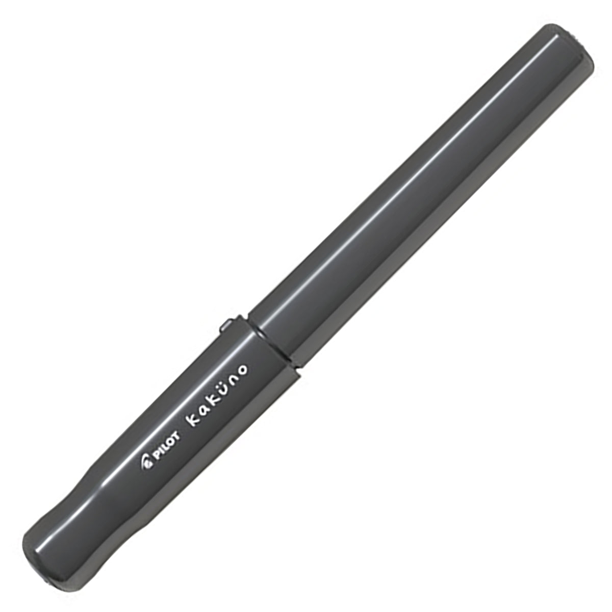 PILOT Kakuno Fountain Pen-Fine Grey