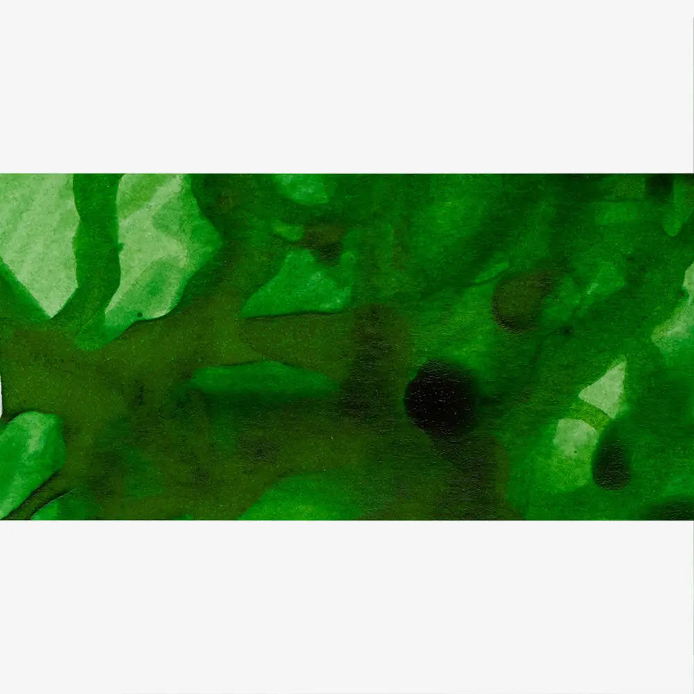 WINSOR & NEWTON Drawing Ink 14ml S1 011 Apple Green