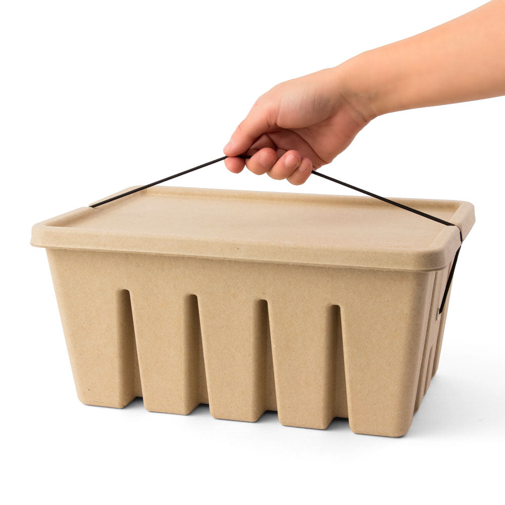 MIDORI PS Post Card & Tool Box Pulp Beige