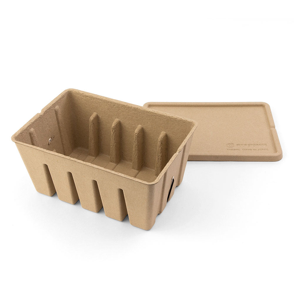 MIDORI PS Post Card & Tool Box Pulp Beige