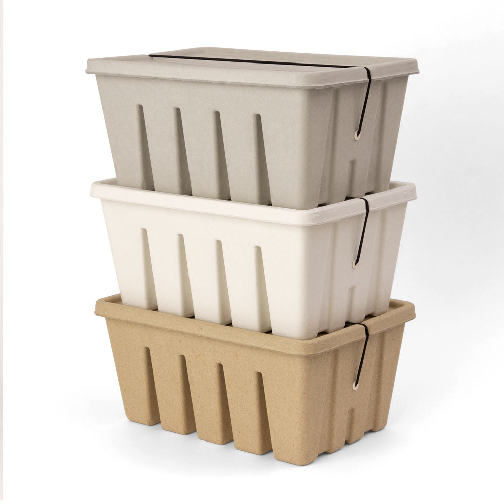 MIDORI PS Post Card & Tool Box Pulp Beige
