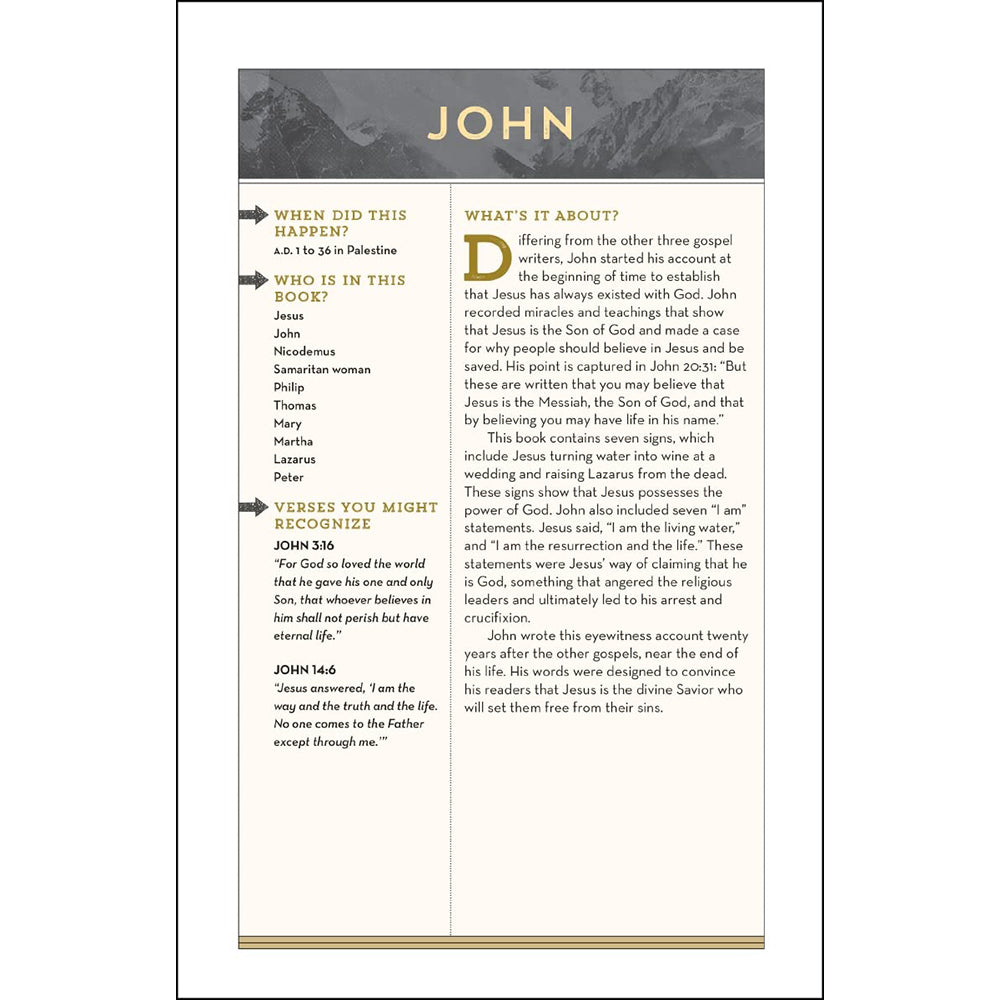 NIV - Bible For Teen Guys, Hardcover