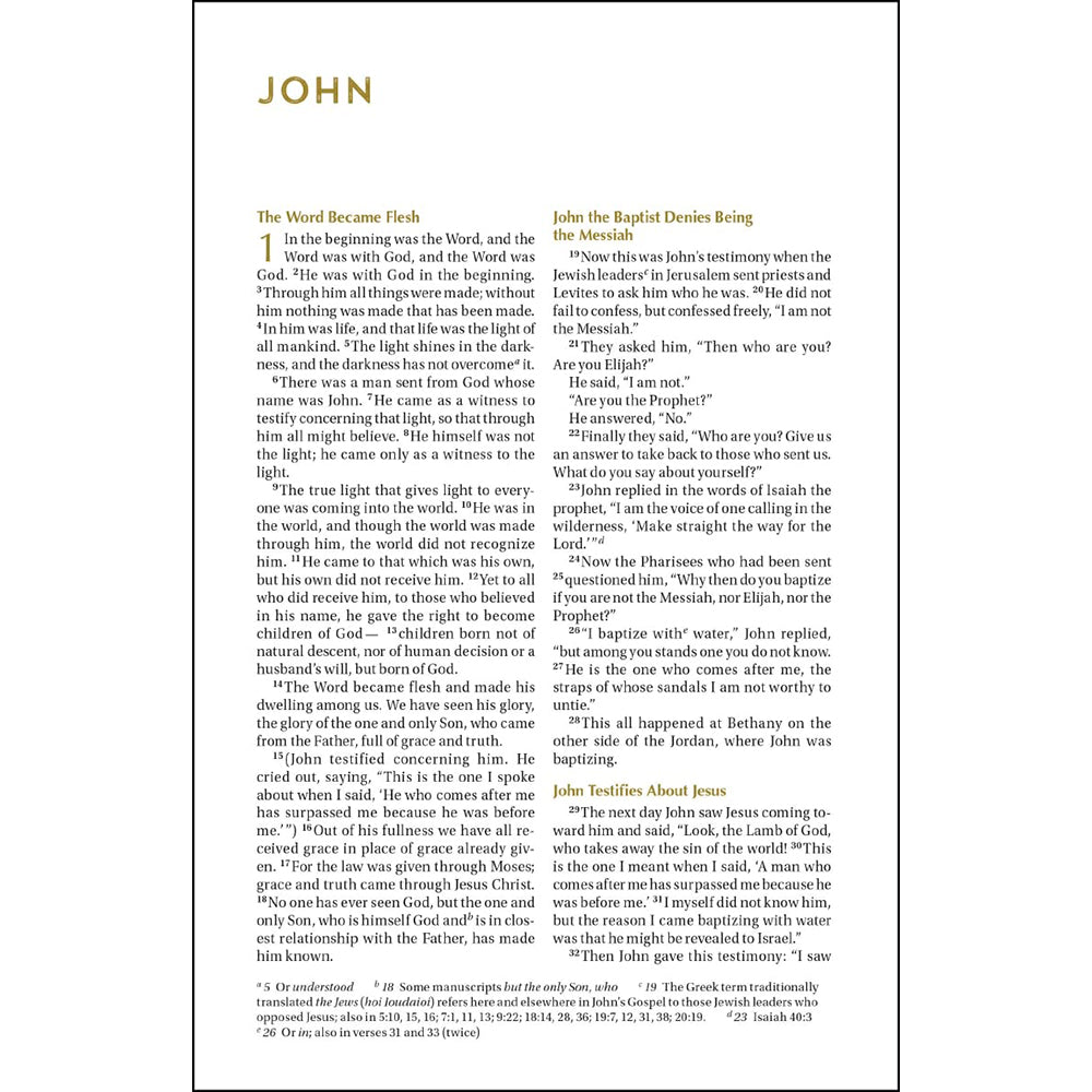 NIV - Bible For Teen Guys, Hardcover