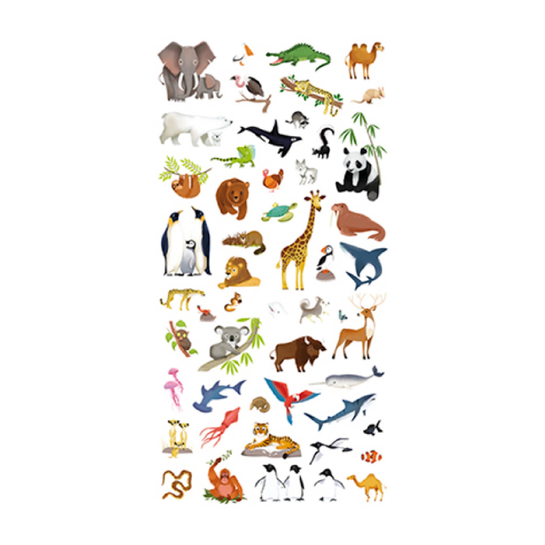 AVENUE MANDARINE Creative Box Decalco Mania Planisphere Default Title