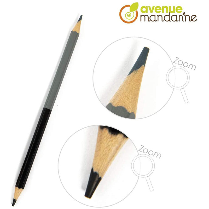 AVM Tube of 12 Double-Ended Coloured Pencils
