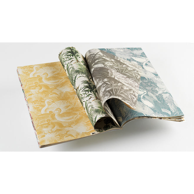 PEPIN Gift & Creative PB GCP 072-Natural History 1206841