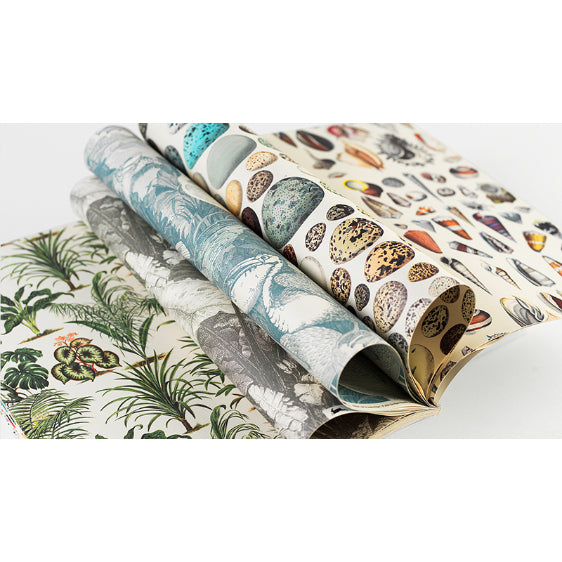 PEPIN Gift & Creative PB GCP 072-Natural History 1206841