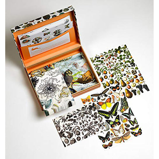 PEPIN Letter Writing Sets Natural History 1206870
