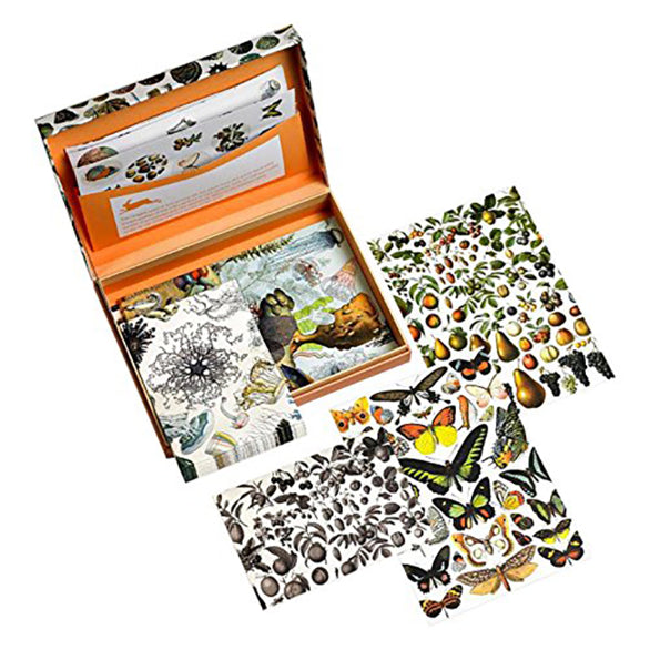 PEPIN Letter Writing Sets Natural History 1206870