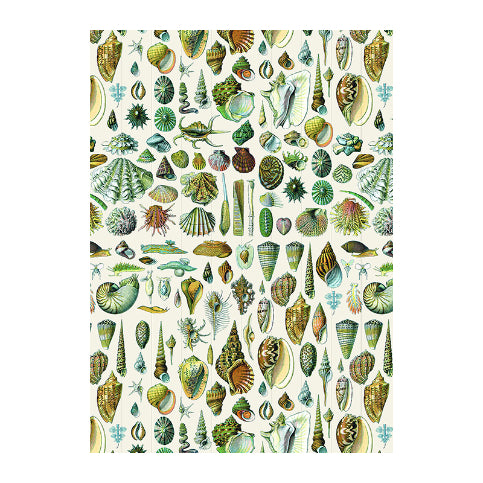 PEPIN Label & Sticker Book Natural History 1206864