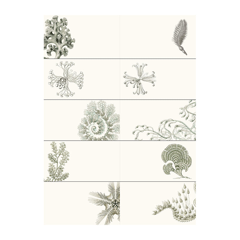 PEPIN Label & Sticker Book Art Forms in Nature