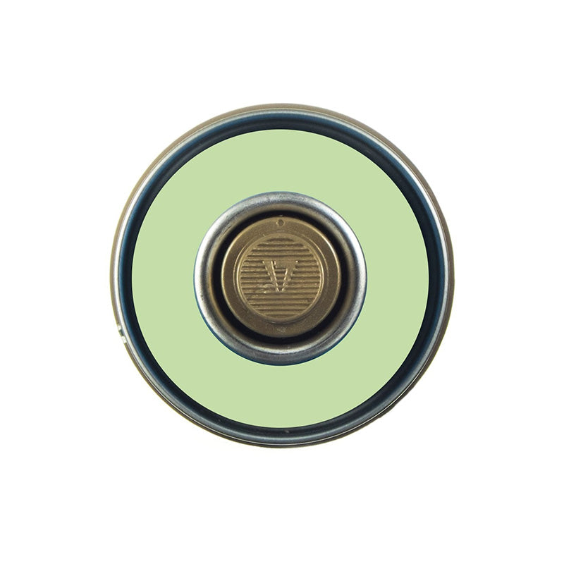 MONTANA Gold 400ml 6010 Linden Green