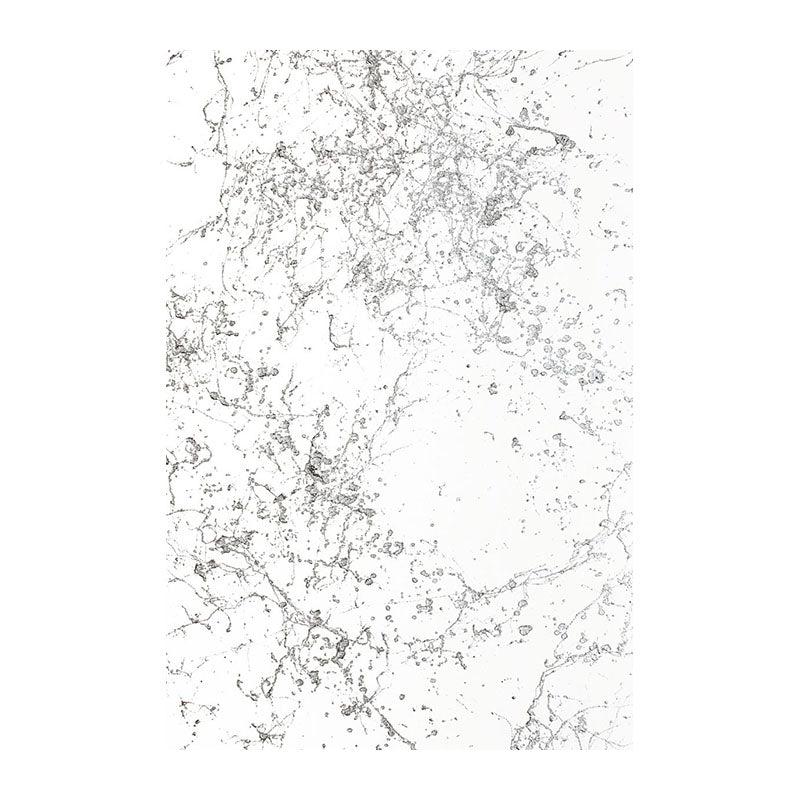 MONTANA Effect 400ml EMSilver Marble Silver