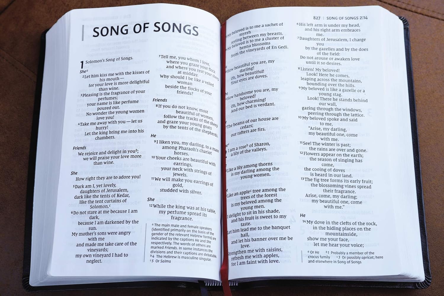 NIV - Thinline Bible, Giant Print, Bonded Leather, Black