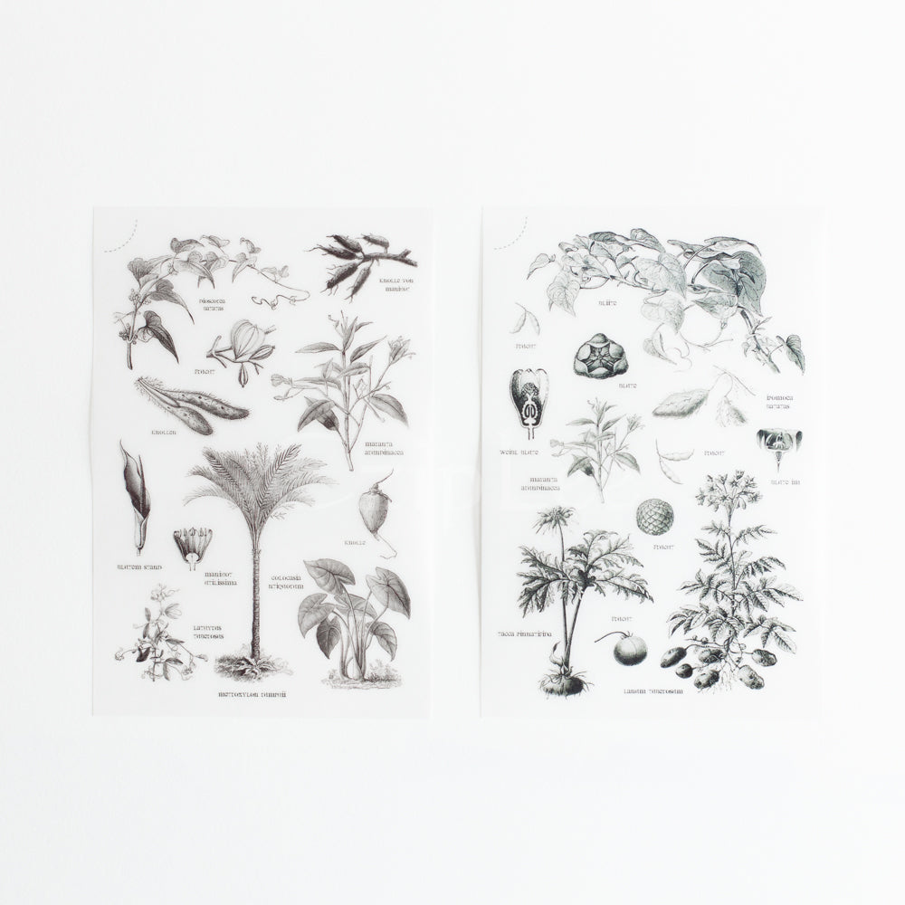 MU Print-On Sticker 2s 029-The Botanical Field