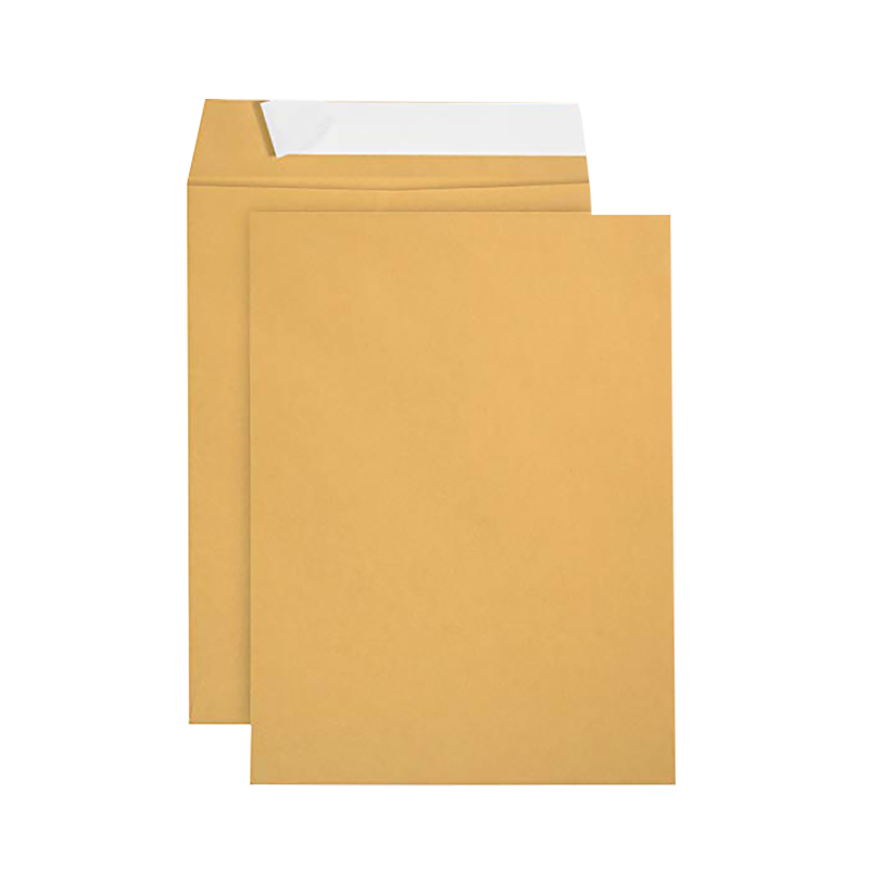 MANILA Envelopes 8"x11" 90g 10s IMPORTED P&S