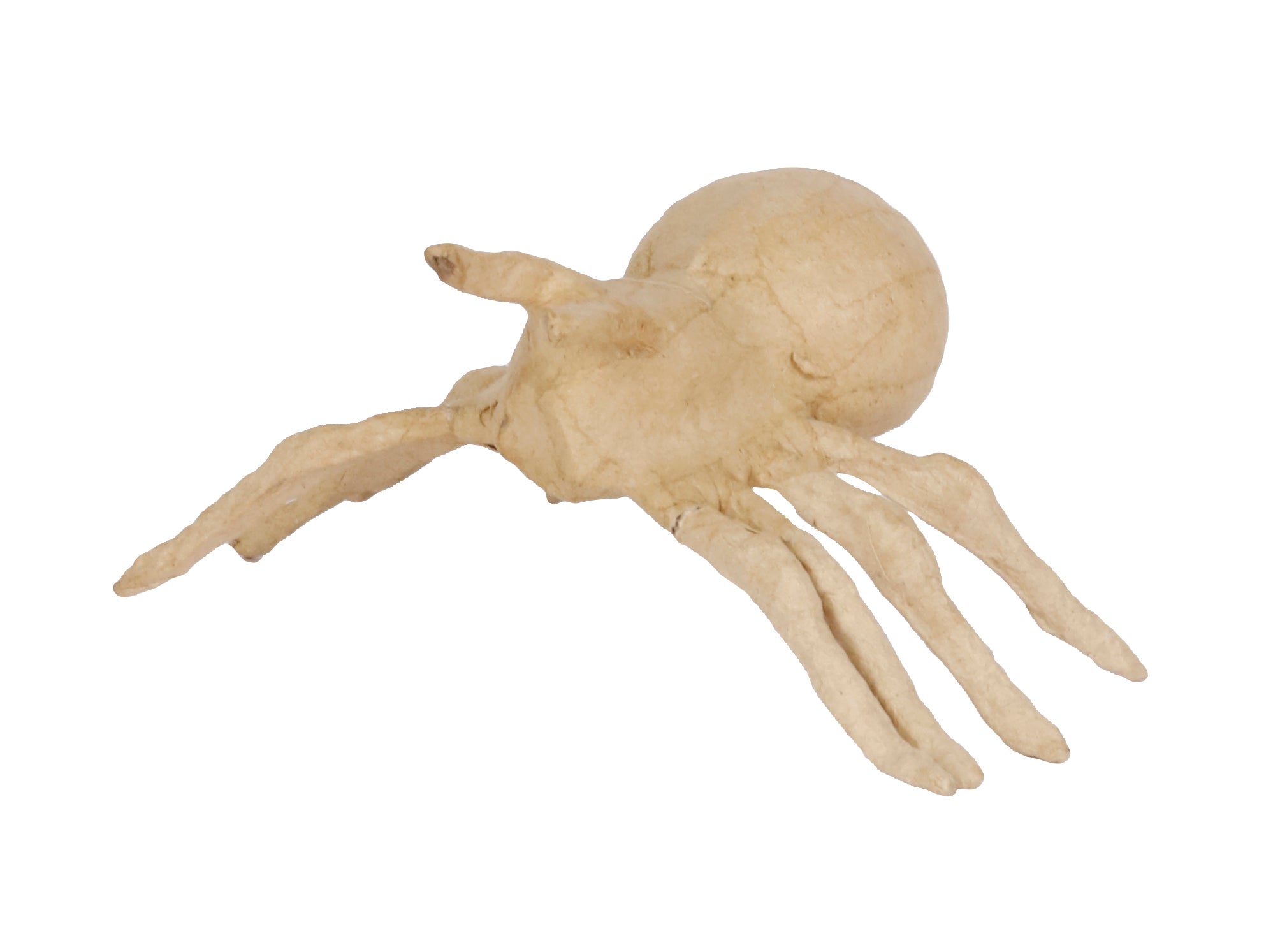 DECOPATCH Objects:Pulp Small-Spider 5cm Default Title