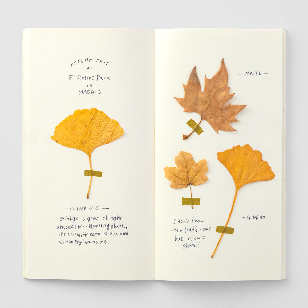 TRAVELERS Notebook Refill 025 Blank MD Paper Cream