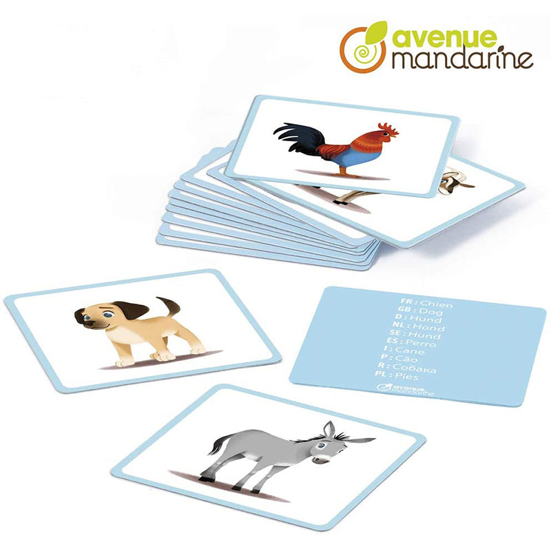 AVENUE MANDARINE Picture Cards Domestic Animals 1206769