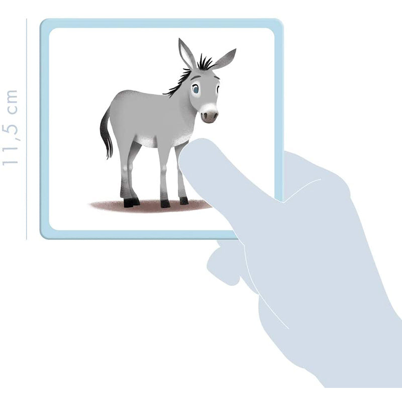 AVENUE MANDARINE Picture Cards Domestic Animals 1206769