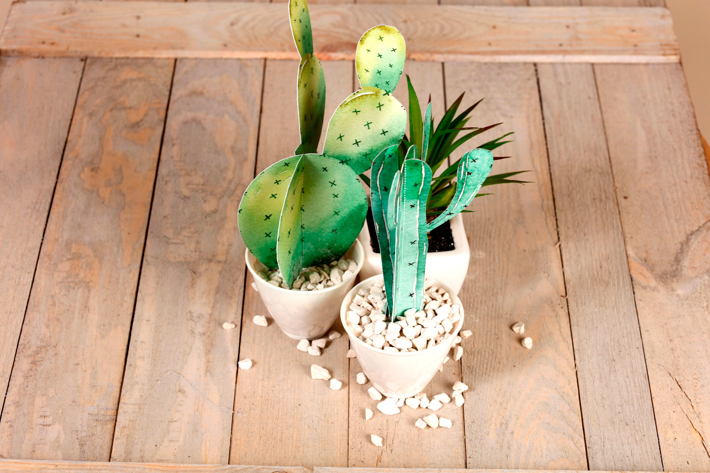 CLAIREFONTAINE FEELGOOD Creativ book Cactus Default Title