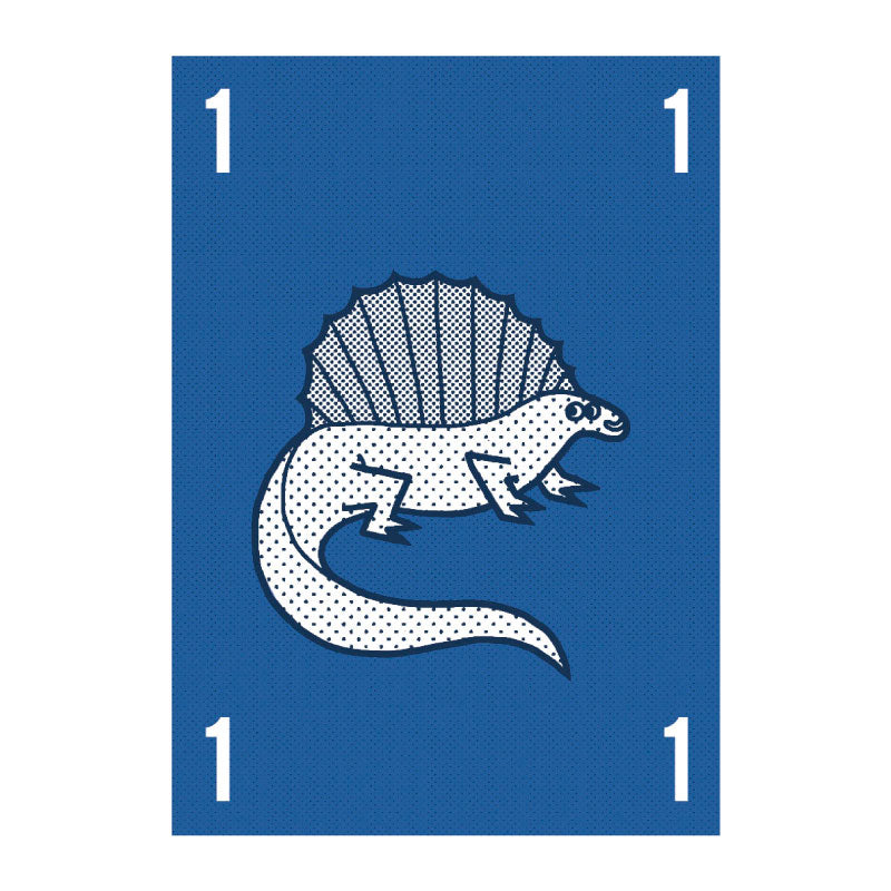 AVENUE MANDARINE Card Games Dinoptura Default Title