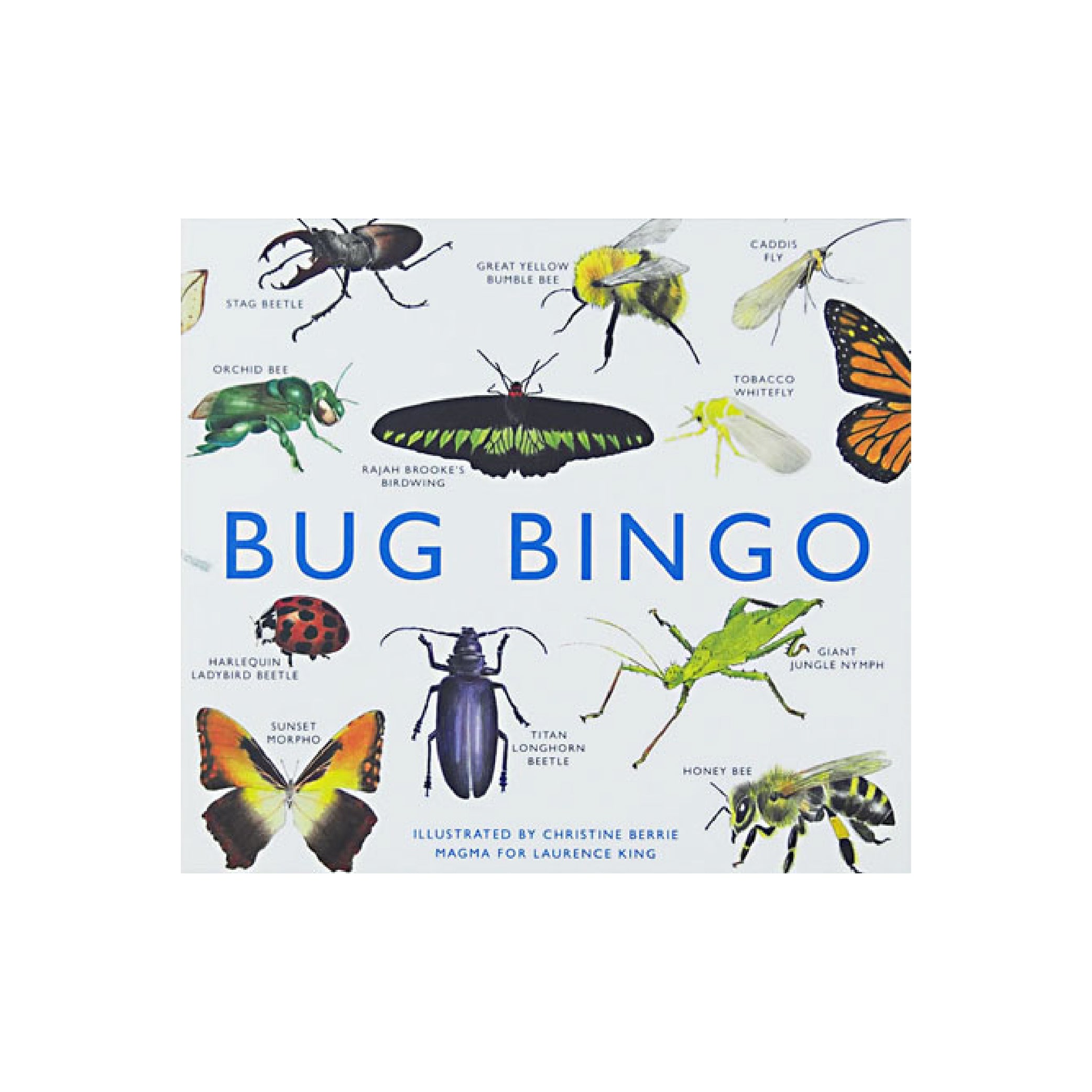 Bug Bingo 1205798