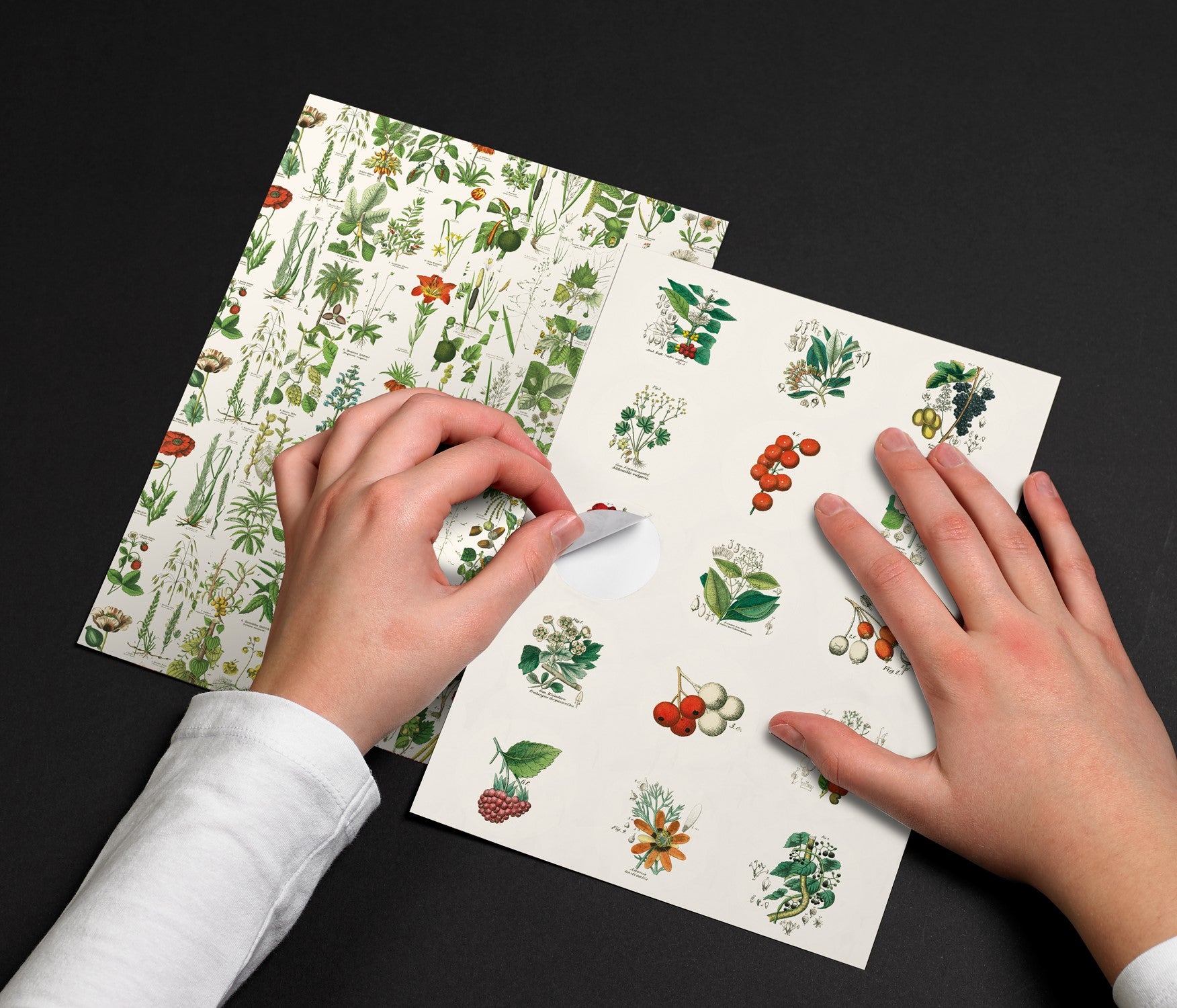 PEPIN Label & Sticker Book Flora