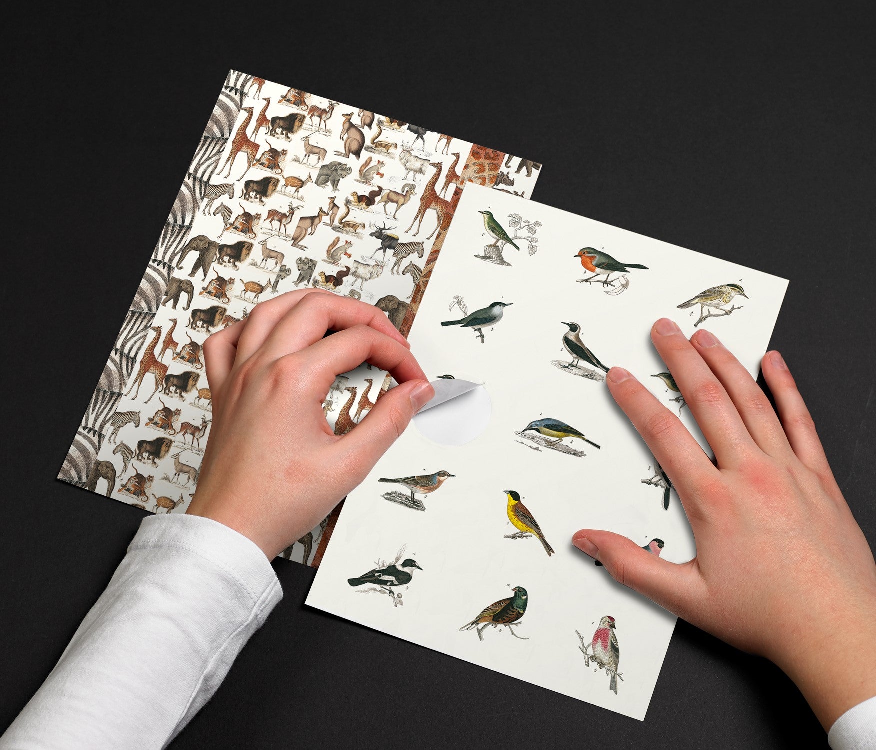 PEPIN Label & Sticker Book Fauna 1206862