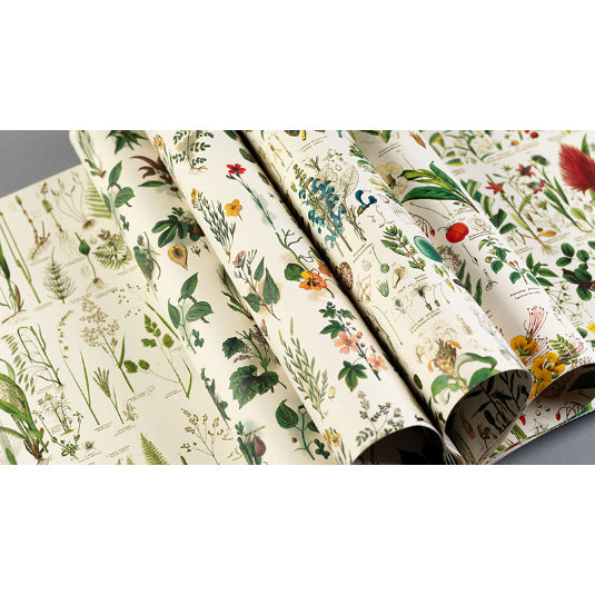 PEPIN Gift & Creative PB GCP 085-Flora 1206848