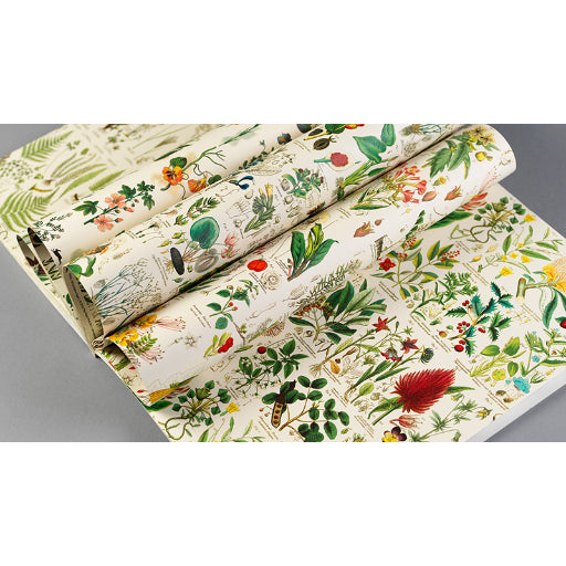 PEPIN Gift & Creative PB GCP 085-Flora 1206848