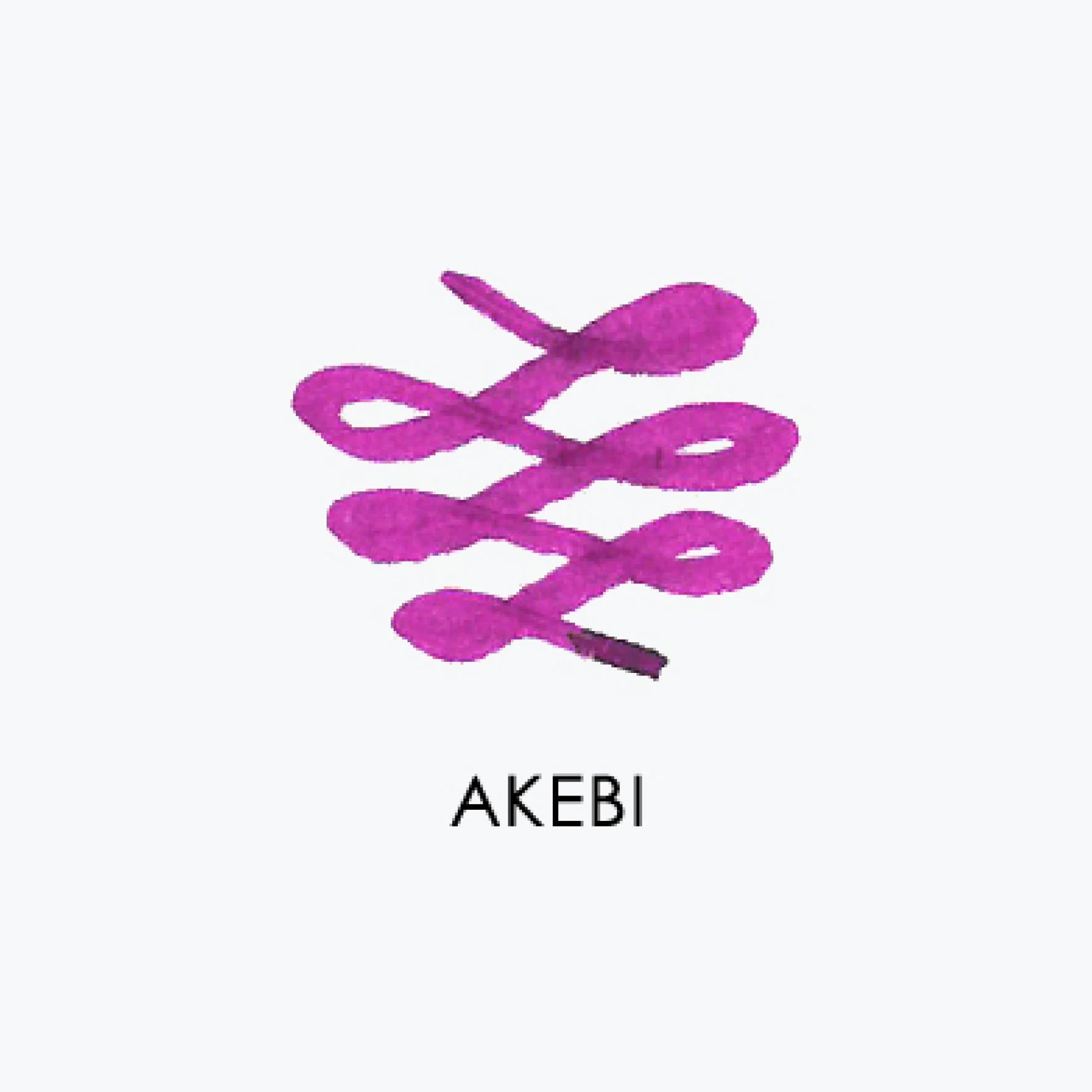 SAILOR Manyo Ink 50ml-Akebi