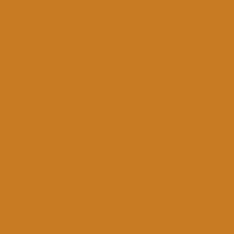 CARAN D'ACHE Luminance 6901-036 Raw Sienna Default Title
