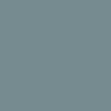 CARAN D'ACHE Luminance 6901-004 Steel Grey Default Title