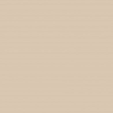 CARAN D'ACHE Luminance 6901-842 Raw Umber 10 Default Title
