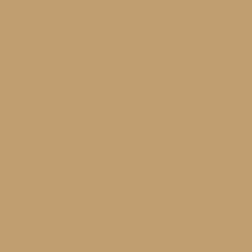 CARAN D'ACHE Luminance 6901-736 Olive Brown 50 Default Title