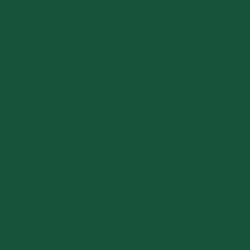 CARAN D'ACHE Luminance 6901-729 Dark English Green Default Title