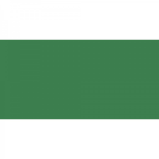 CARAN D'ACHE Luminance 6901-225 Moss Green Default Title