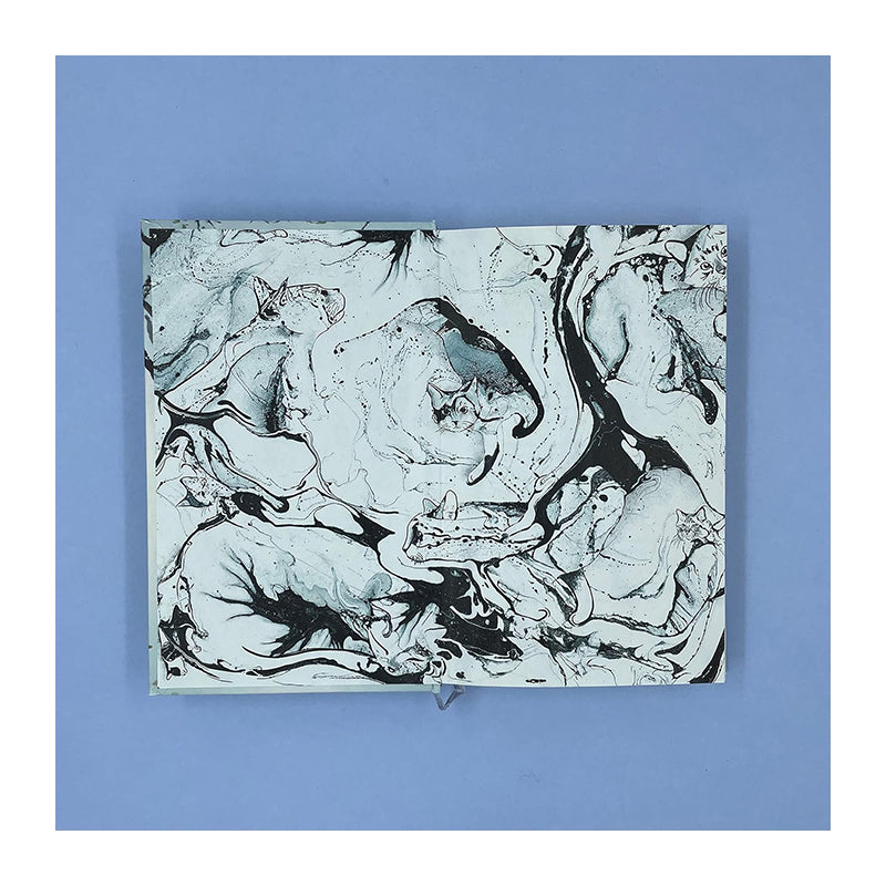 The Travelling Cat Chronicles (Gift Edition)