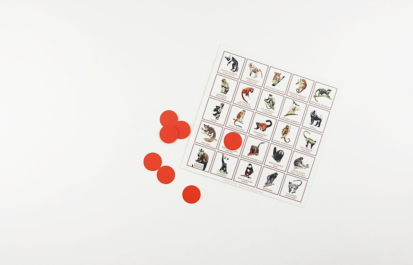 Monkey Bingo: And Other Primates 1205820