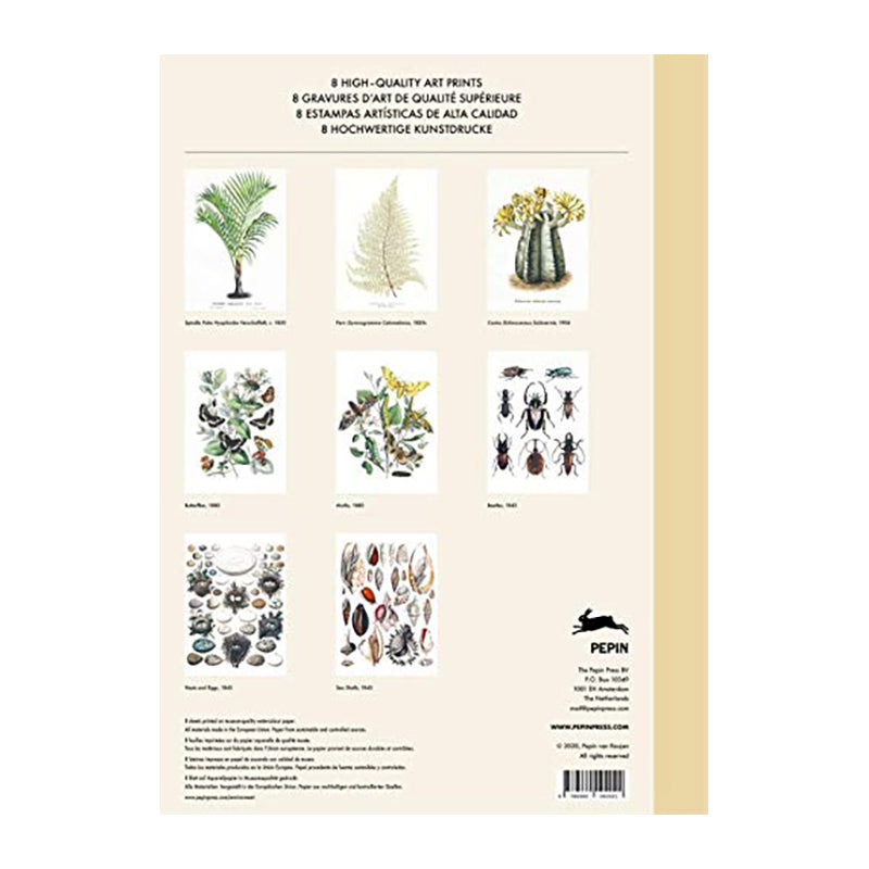 PEPIN Art Portfolios Natural History