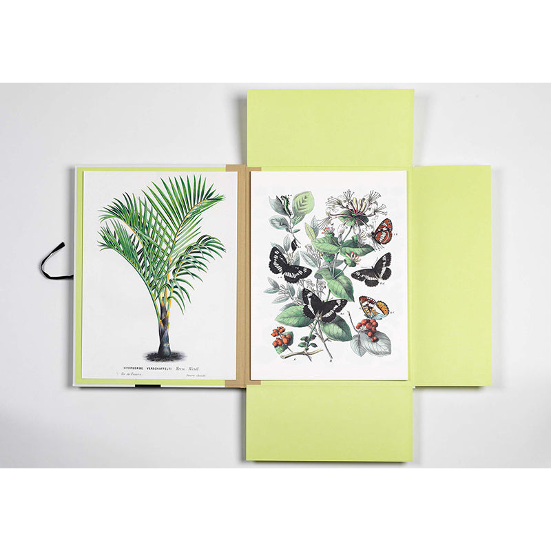 PEPIN Art Portfolios Natural History