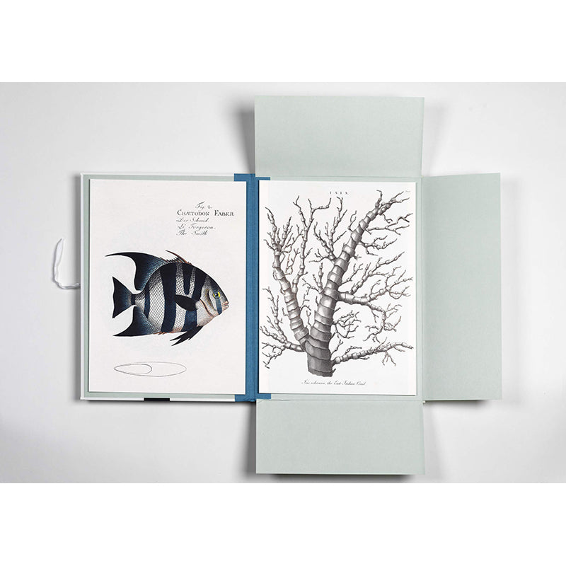 PEPIN Art Portfolios Marine